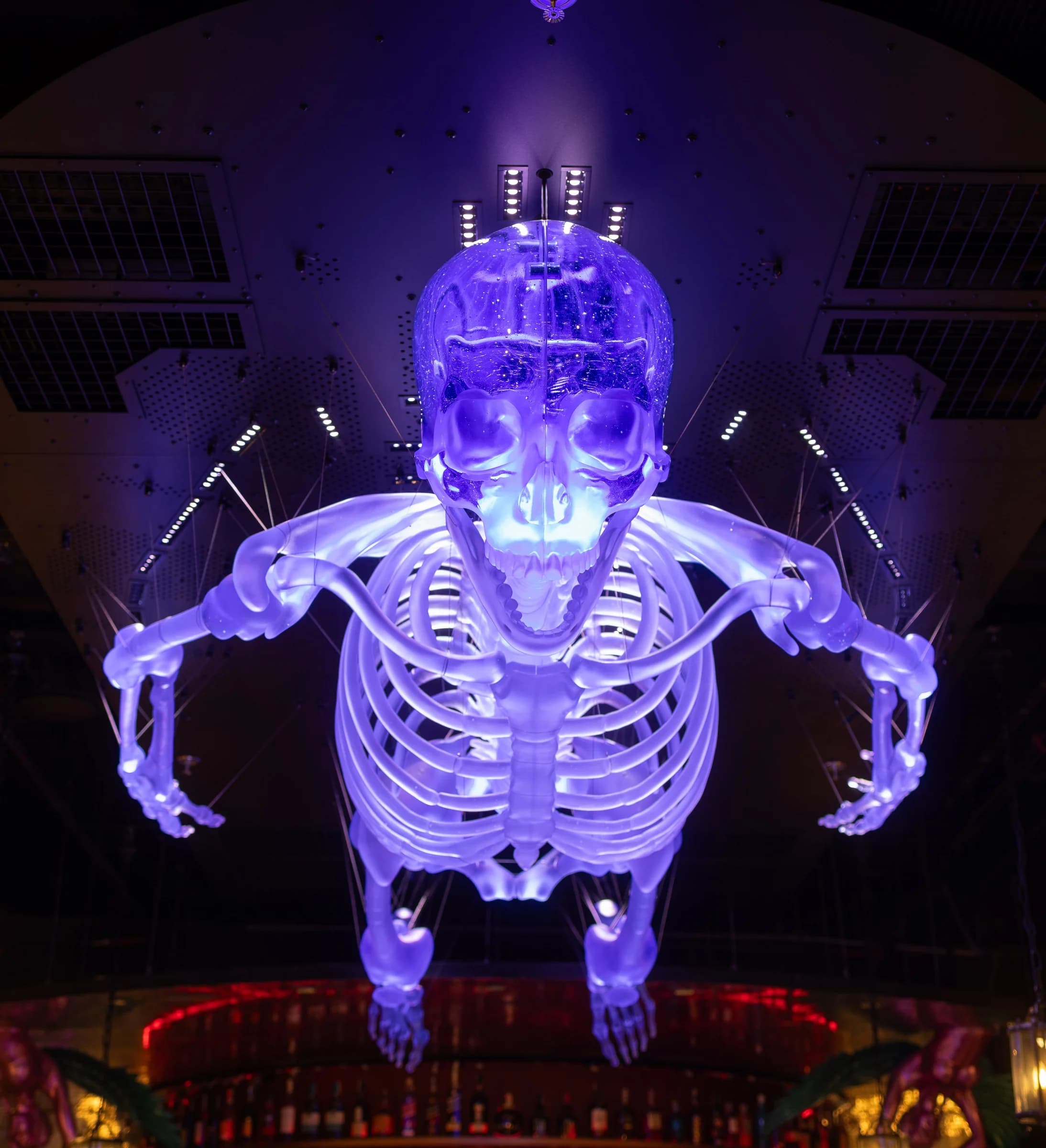 Glass Skeleton Installation